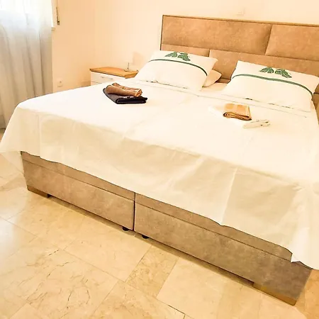 Bernardica 트로기르