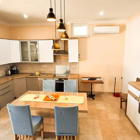 Bernardica * 트로기르